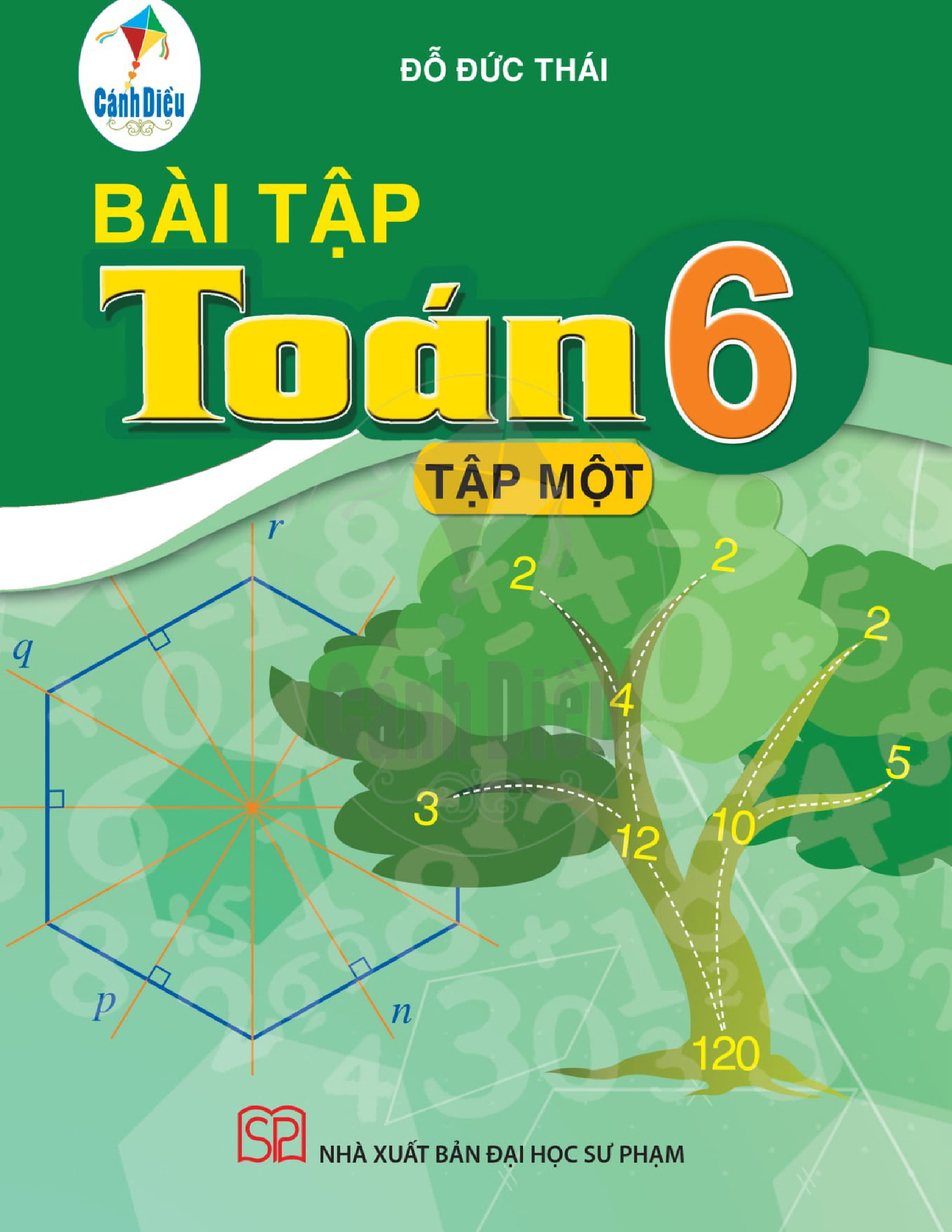 Bài tập Toán 6 Tập 1 - Cánh diều