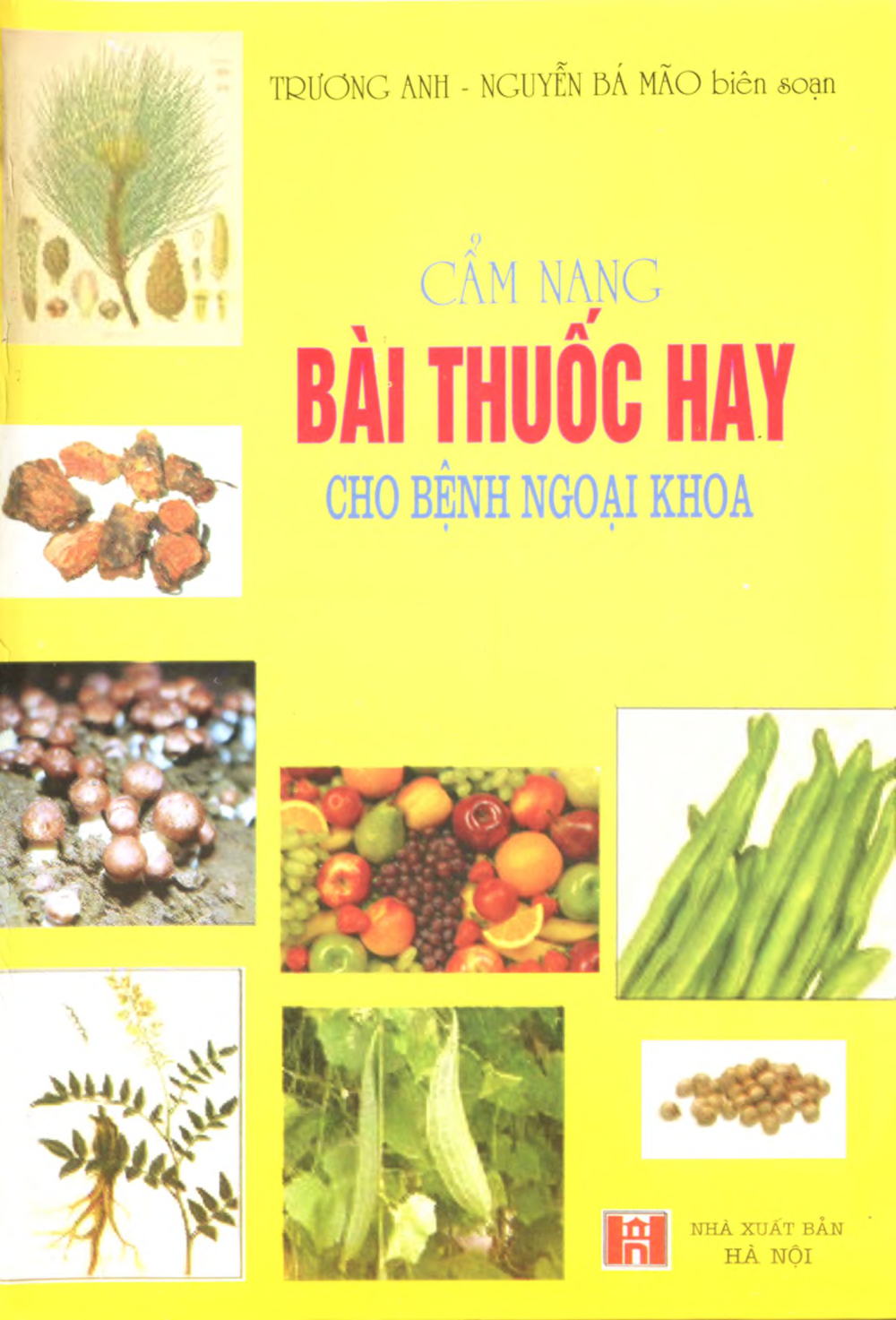 Cẩm Nang Bài Thuốc Hay Cho Bệnh Ngoại Khoa - Nguyễn Bá Mão, 222 Trang