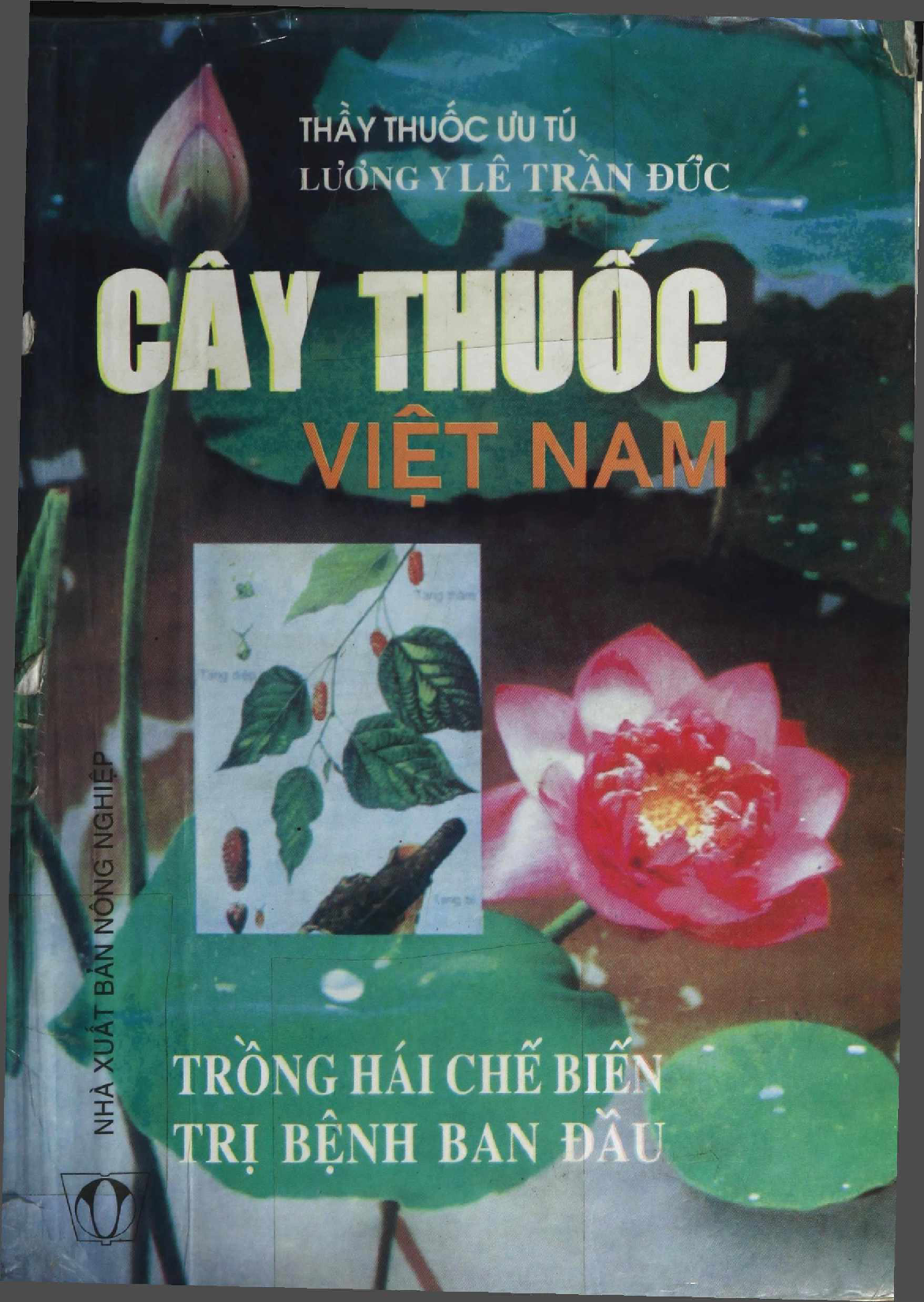 Cây thuốc việt nam