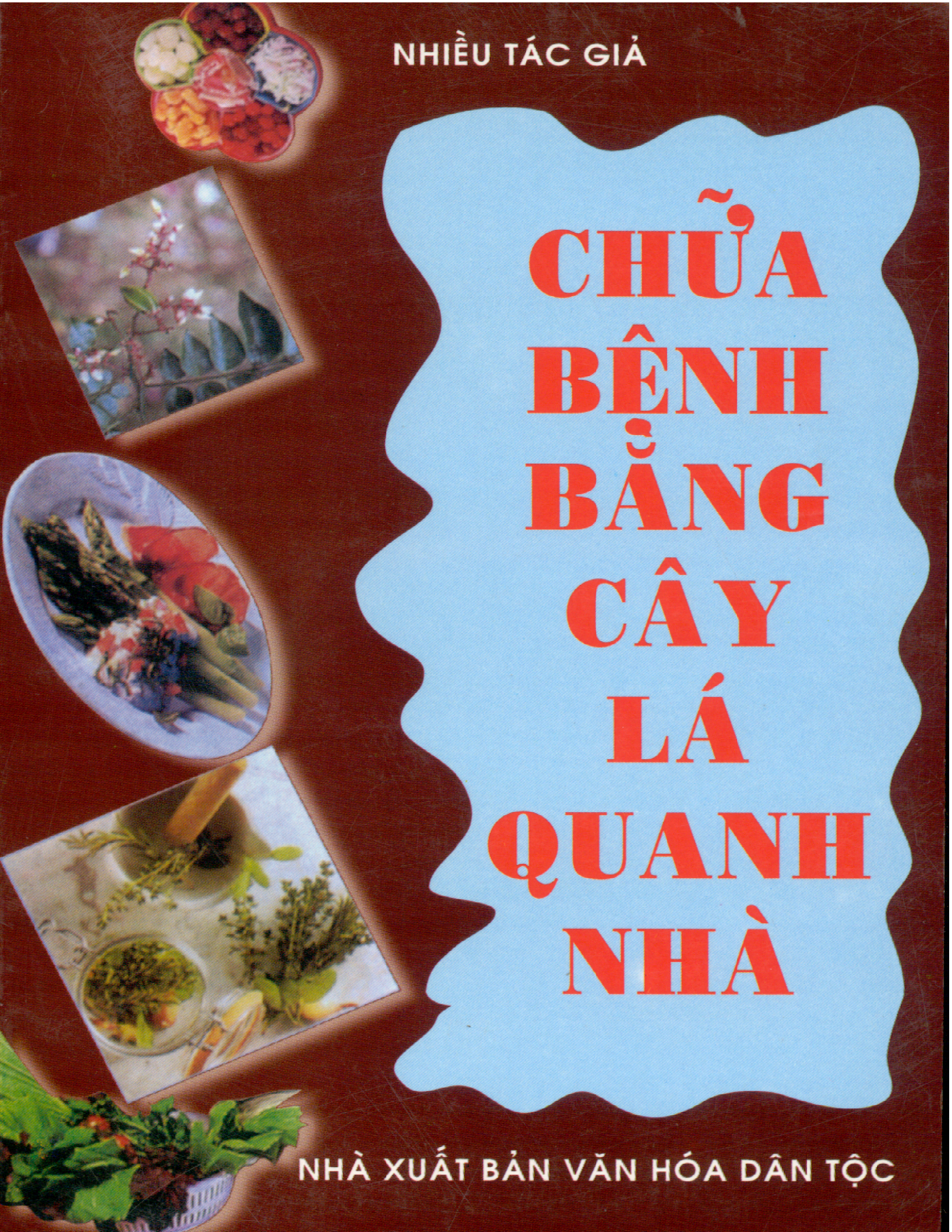 Chua-benh-bang-cay-la-quanh-nha-diep-tam