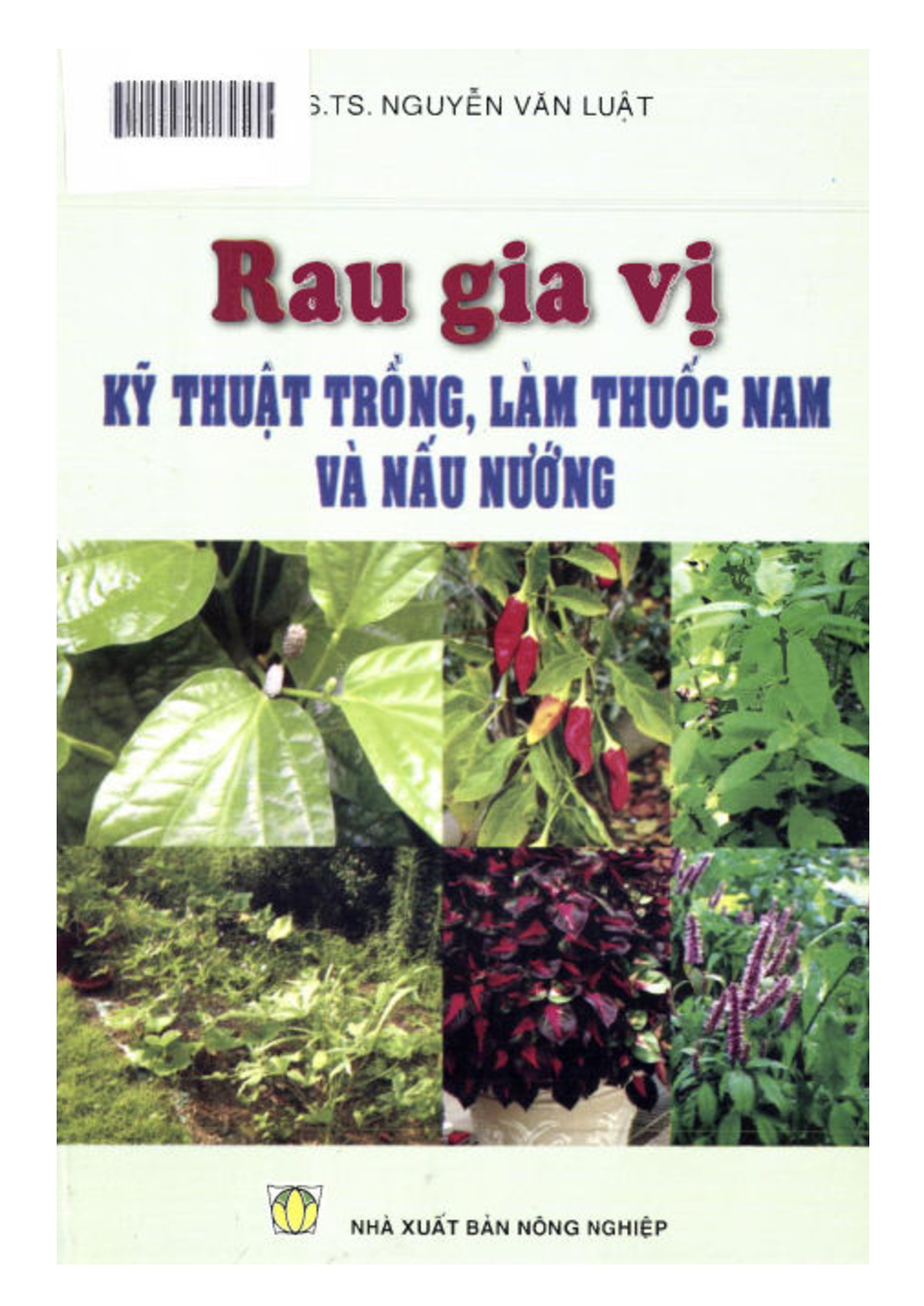 Rau gia vị kỹ thuật trồng, làm thuốc nam và nấu nướng