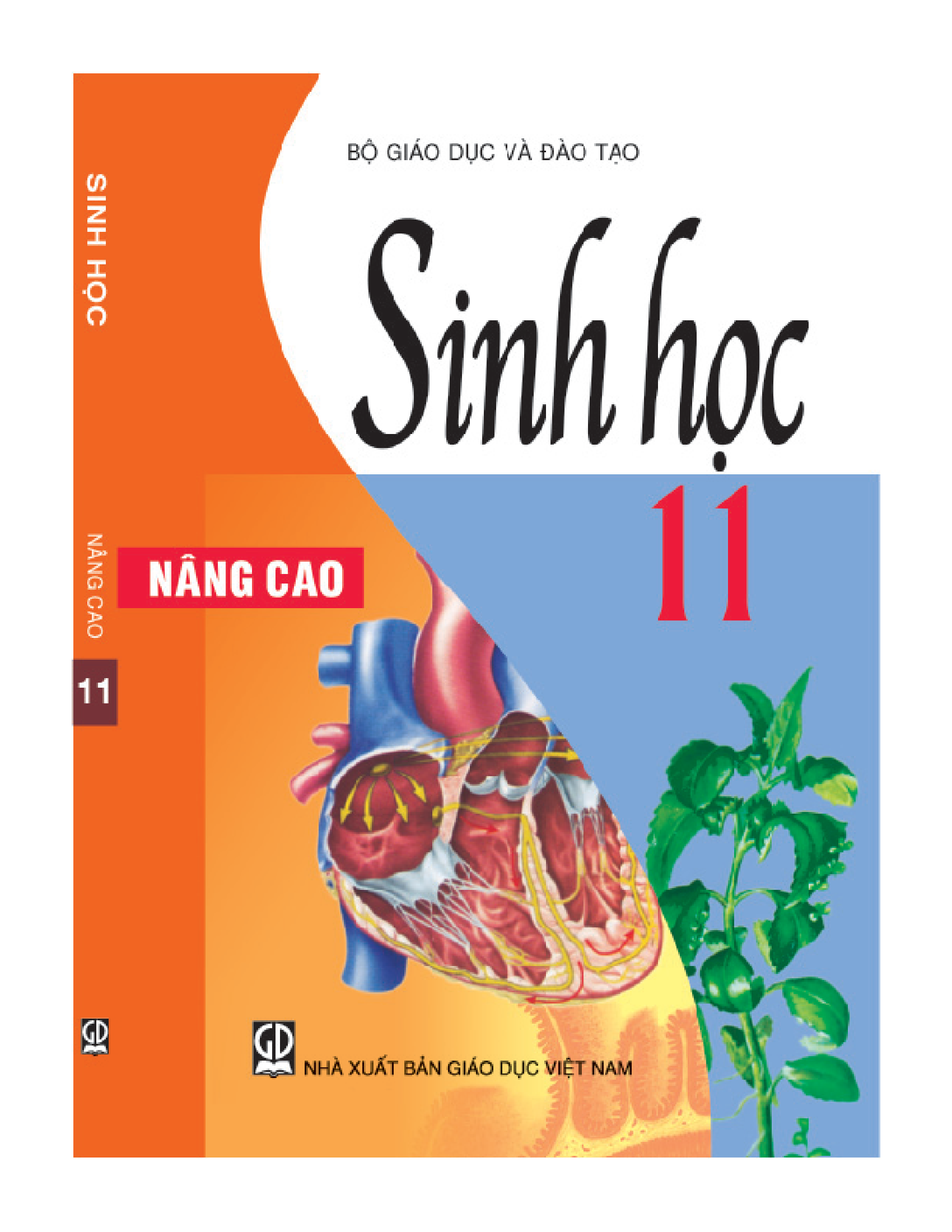 SINH HỌC 11 NC