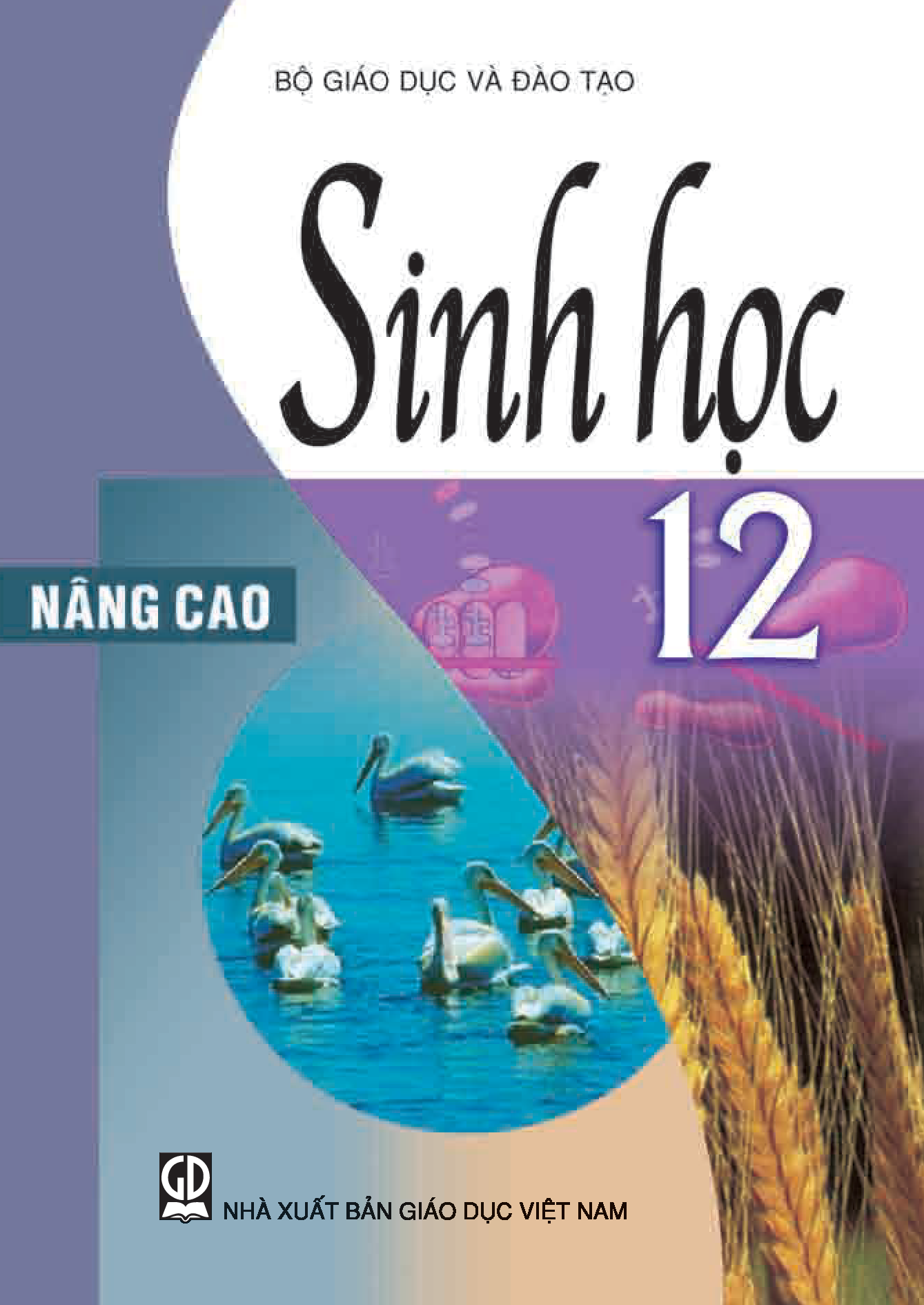 SINH HỌC 12 NC